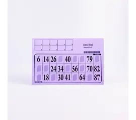 Lottokarten mit Kontrolle (10 Stück), Modell 6013 / Cartons de loto avec contrôle (10 pièces), modèle 6013