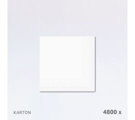Servietten 33 x 33 cm, 1-lagig, 1/4-Falz, im Karton (4800 Stück) / Serviettes 33 x 33 cm, simple épaisseur, pliage 1/4, en carton (4800 pièces)