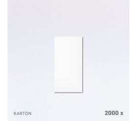 Servietten 33 x 33 cm, 2-lagig, 1/8-Falz, im Karton (2'000 Stück) / Serviettes 33 x 33 cm, double épaisseur, pliage 1/8, en carton (2'000 pièces)