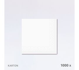 Servietten 40 x 40 cm, 2-lagig, 1/4-Falz, im Karton (1'000 Stück) / Serviettes 40 x 40 cm, double épaisseur, pliage 1/4, en carton (1'000 pièces)