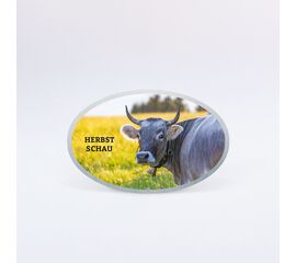 Plakette oval / Plaquette ovale