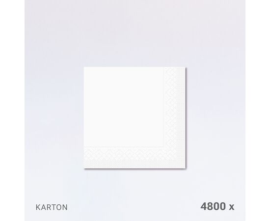 Servietten 33 x 33 cm, 1-lagig, 1/4-Falz, im Karton (4800 Stück) / Serviettes 33 x 33 cm, simple épaisseur, pliage 1/4, en carton (4800 pièces)