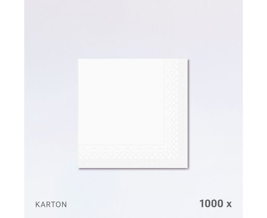 Servietten 40 x 40 cm, 2-lagig, 1/4-Falz, im Karton (1'000 Stück) / Serviettes 40 x 40 cm, double épaisseur, pliage 1/4, en carton (1'000 pièces)