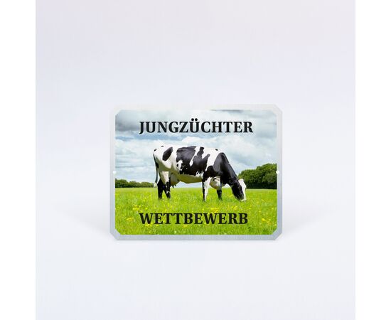 Plakette Rechteck gross / Plaquette rectangle grande