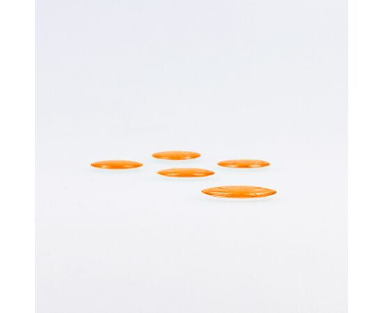 Abdeckplättli magnetisch (100 Stück), Modell 6040.5 [Orange] / Pions de loto magnétiques (100 pièces), modèle 6040.5 [orange]